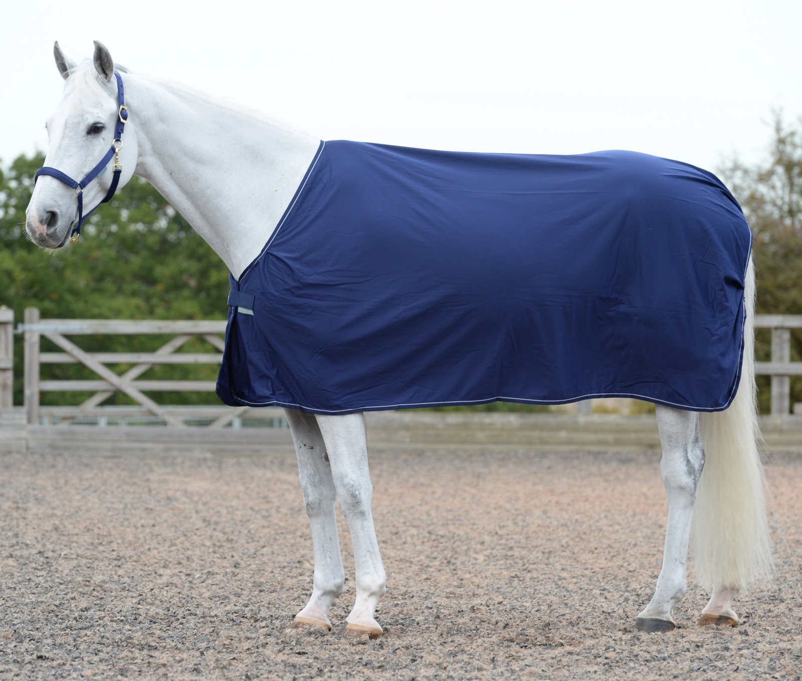 Power Prize Cooler Rug